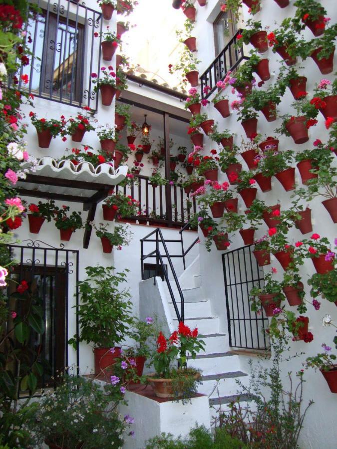 Apartamento El Balcón de La Juderia Córdoba Exterior foto